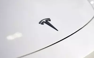 Tesla's Strategic Investment in Innovation Outweighs Short-Term Earnings