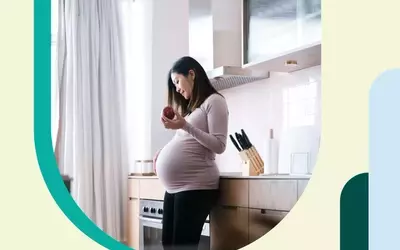 A Week-by-Week Guide to Fetal Development: From Seed to Watermelon