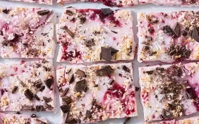 Frozen Raspberry Chocolate Coconut Yogurt Bark