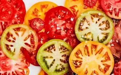 The Art of Crafting an Authentic Greek Salad