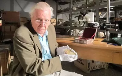 Celebrating Sir David Attenborough's Centennial: A Legacy of Nature and Conservation