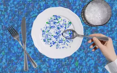 Understanding and Mitigating Microplastic Exposure in Food