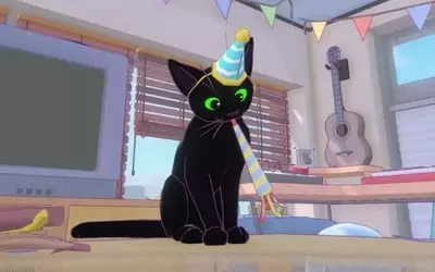 Little Kitty, Big City's Second Anniversary: A Purr-fect Update