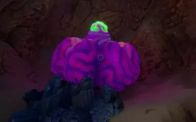 Obtaining Acidic Raion Pouch in Subnautica 2