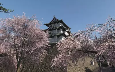 Forza Horizon 6: A Comprehensive Guide to Discovering Japan's Hidden Gems