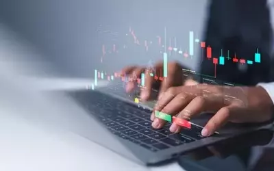 Navigating Private Equity: Understanding Risks and Mitigating Portfolio Biases
