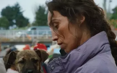 Female Canines and Auteurs Shine at Palm Dog Awards