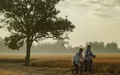 China's Box Office Sees "Dear You" Maintain Lead, "Mandalorian and Grogu" Debuts