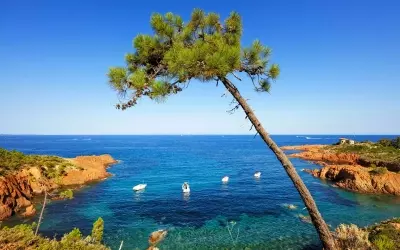 Exploring the Uncharted Beauty of the Var Coast: A Journey Beyond the Crowds