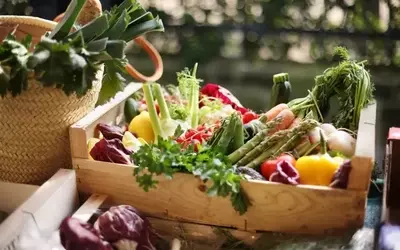 Sprouts Farmers Market: Downgrade to 'Hold' Amidst Sales Decline and Macroeconomic Headwinds