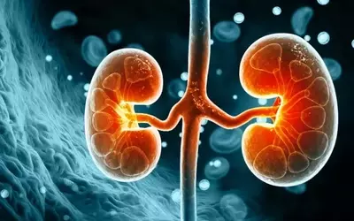 Vera Therapeutics: Navigating the IgA Nephropathy Landscape with Atacicept