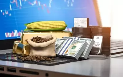 Commodities: The New Frontier in Economic Security and Investment Portfolios