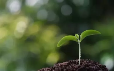 Sprout Social: AI Concerns Overstated, Undervalued Growth Opportunity