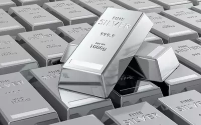 Vizsla Silver: Panuco Project Progress and Investment Outlook