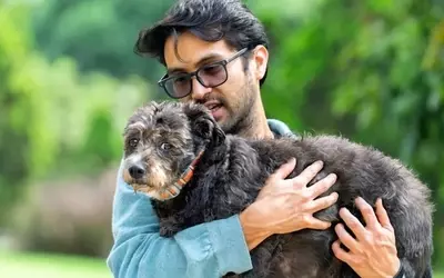 New Jersey Bill Offers Pet Owners Up to $900 in Tax Credits