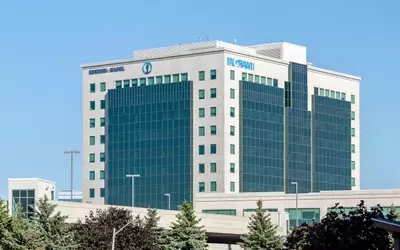 Ingram Micro: A Deep Dive into Growth Amidst Thin Margins