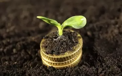 AMG Frontier Small Cap Growth Fund Outperforms Benchmark in Q1 2026 Despite Market Volatility