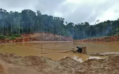 Aura Minerals: A Gold Miner's Ascent Amidst Market Fluctuations