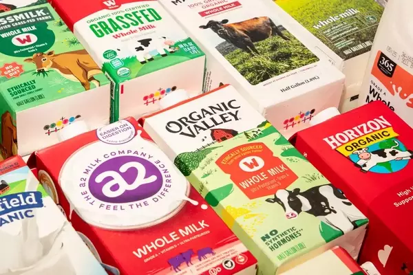 Unveiling the Best Whole Milk: A Comprehensive Taste Test