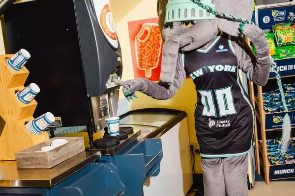 Ellie's Game Day: A Mascot's Journey Through Brooklyn