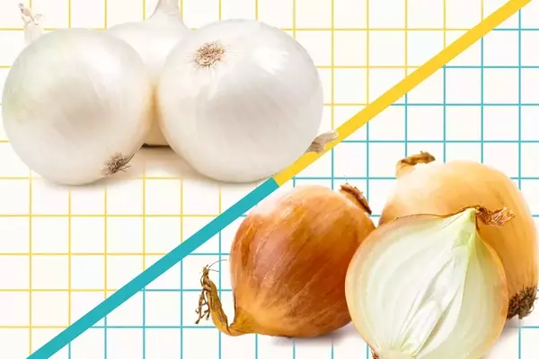 The Subtle Differences and Culinary Applications of Yellow and White Onions