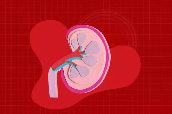 The Hidden Risk of Excessive Electrolyte Drink Consumption for Kidney Health