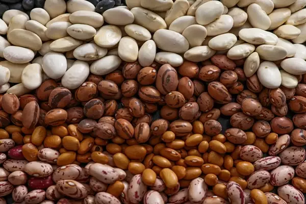 The Quest for the Flatulence-Free Bean: A Scientific Investigation