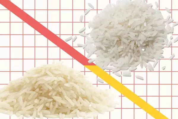 Basmati vs. Jasmine Rice: Unraveling the Distinct Characteristics of Aromatic Grains
