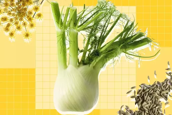 Exploring Fennel: A Culinary Guide to Its Versatility and Uses