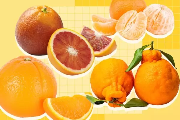 A Comprehensive Guide to Orange Varieties