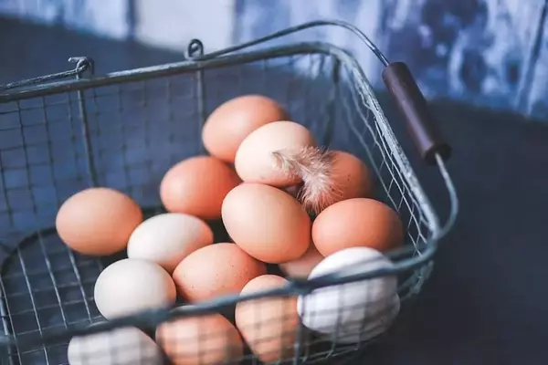 Cal-Maine Foods: A Compelling Investment in the Egg Market