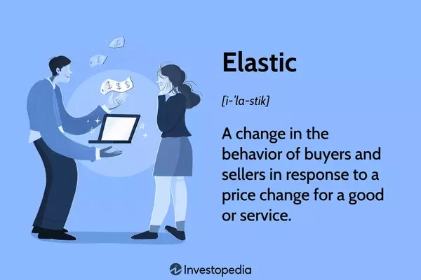 Understanding Elasticity in Economics: A Comprehensive Guide