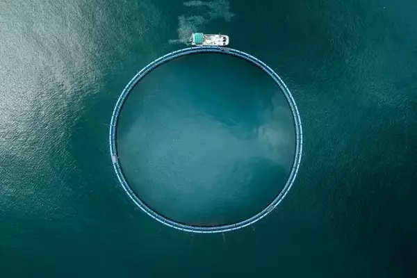 Xylem's Valuation: A Deeper Dive into Growth and Financial Health