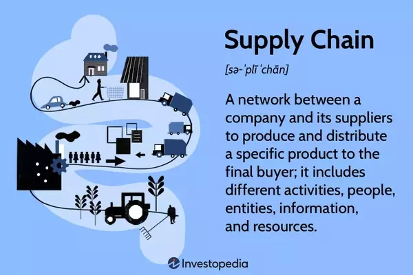 Understanding the Essence of Supply Chains: From Raw Materials to End Consumers