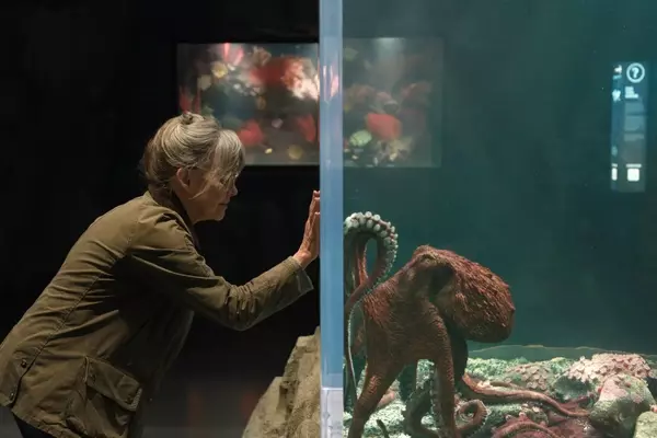 A Touching Tale of Unexpected Bonds: 'Remarkably Bright Creatures' Review