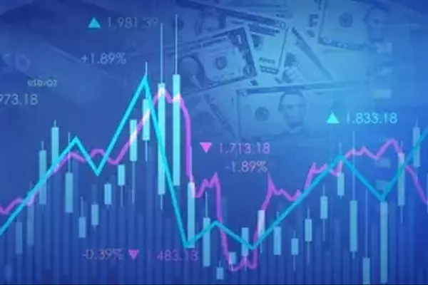 Real Estate Market Performance and Investment Insights