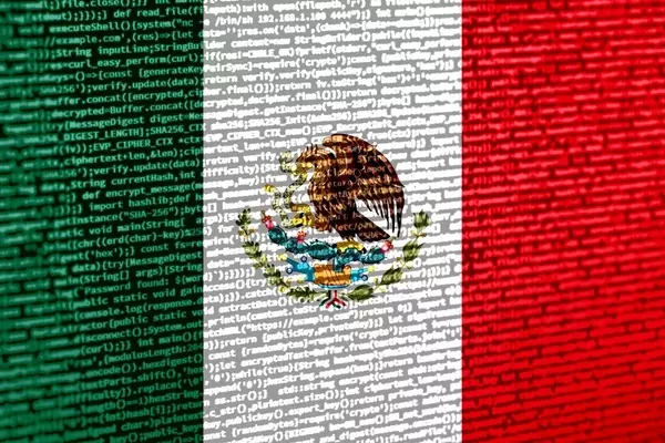 Analyzing the Mexico Fund's Investment Profile