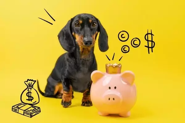 SDOG: A Dividend-Focused ETF with Limited Growth Potential