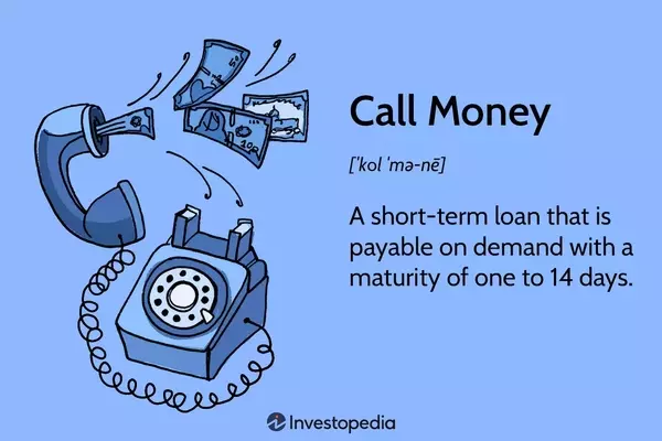 The Dynamics of Call Money in Financial Markets