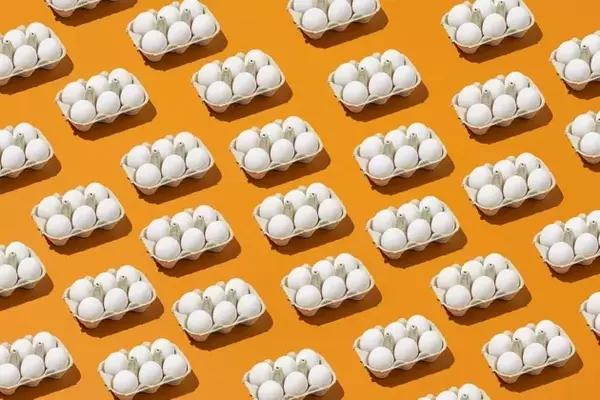 Cal-Maine Foods: A Resilient Egg Industry Leader with Strategic Growth