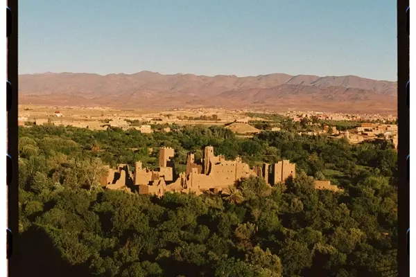 The Enduring Tradition and Evolving Future of Morocco's Rose Valley
