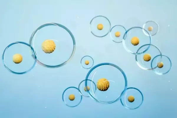 Edgewise Therapeutics: A New Horizon in Cardiovascular Drug Development
