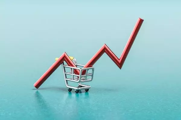 Strategic Investment Choices for Sustainable Retirement Income