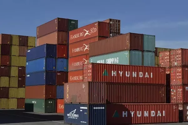 Coupang's Strategic Expansion and Market Potential