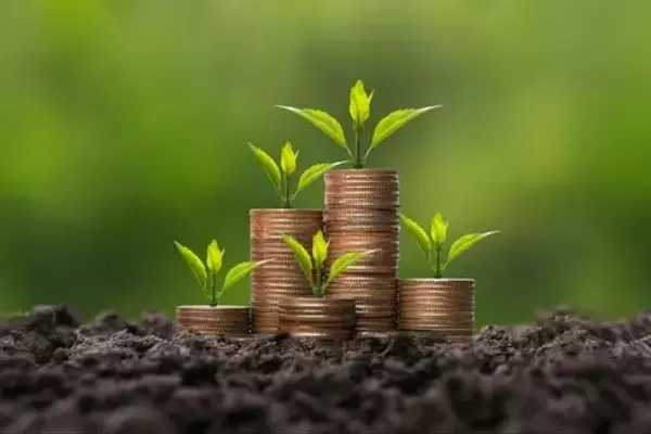 A Detailed Comparison of Leading Dividend Growth ETFs: SCHD vs. VYM