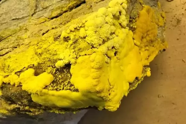 Uranium Exploration: The Synergy Between Major and Junior Mining Companies