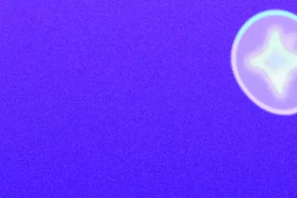 The Evolution and Reality of the AI Bubble