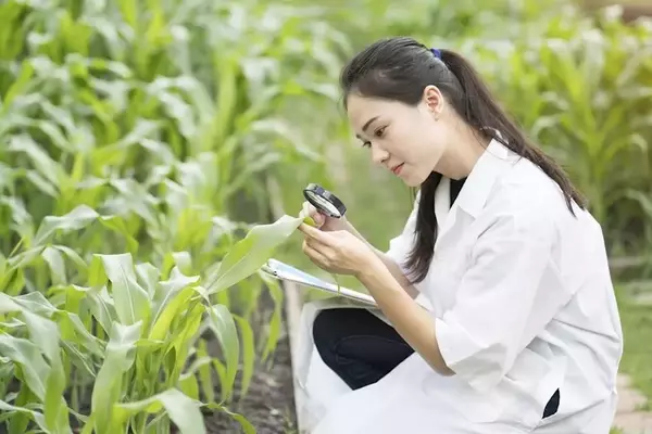 Darling Ingredients Inc. Stock: A Bullish Outlook