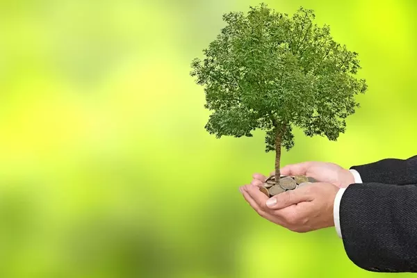 LendingTree's Insurance Sector Fuels Growth Amidst Market Volatility