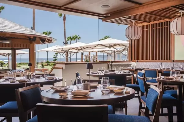 California Coastal Odyssey: A Guide to Hilton Stays from San Francisco to San Diego